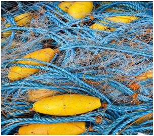 Fisheries Vision